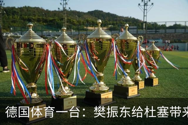 德国体育一台：樊振东给杜塞带来一亿球迷，俱乐部总经理被累坏了
