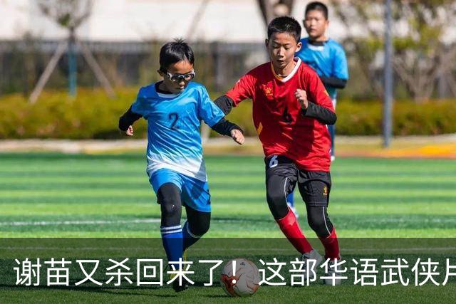 谢苗又杀回来了！这部华语武侠片，爽到我头皮发麻